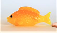Load image into Gallery viewer, Gold Fish, Miniature GoldFish,
