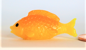 Gold Fish, Miniature GoldFish,
