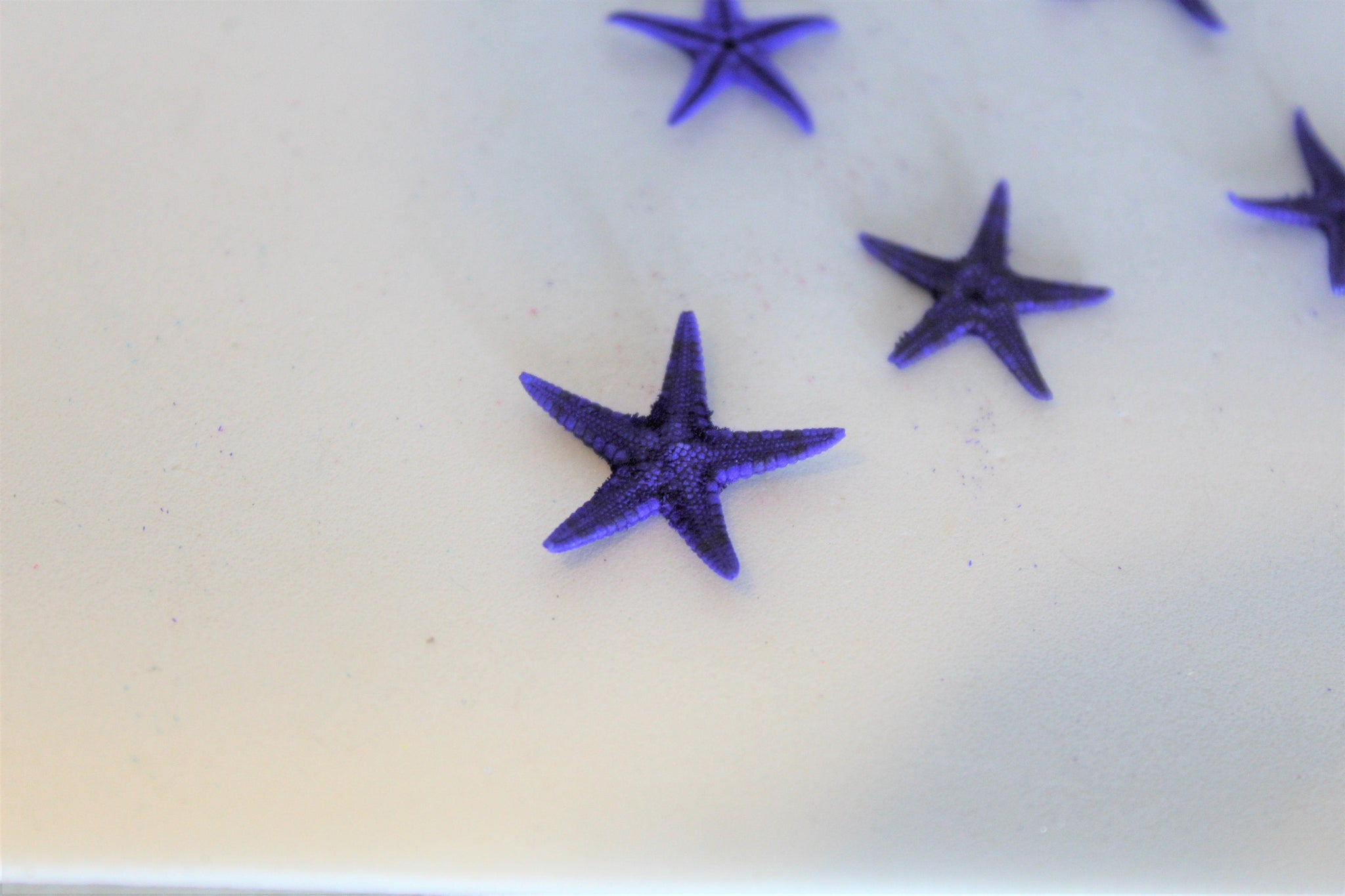Small Starfish Flat Yellow Mini Starfish With Rectangular - Temu