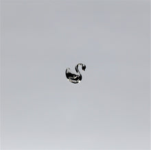 Load image into Gallery viewer, Swan, Swan Nail Rivets - 10 Pieces for 99 cents
